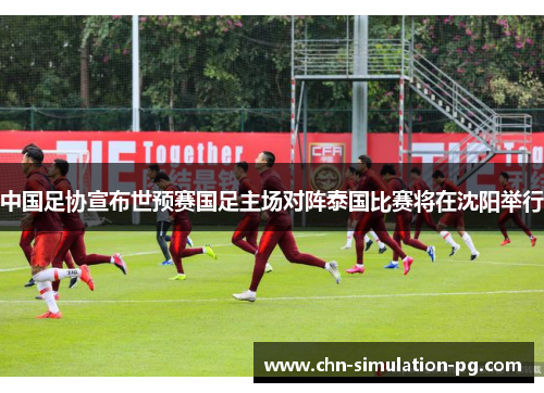 中国足协宣布世预赛国足主场对阵泰国比赛将在沈阳举行